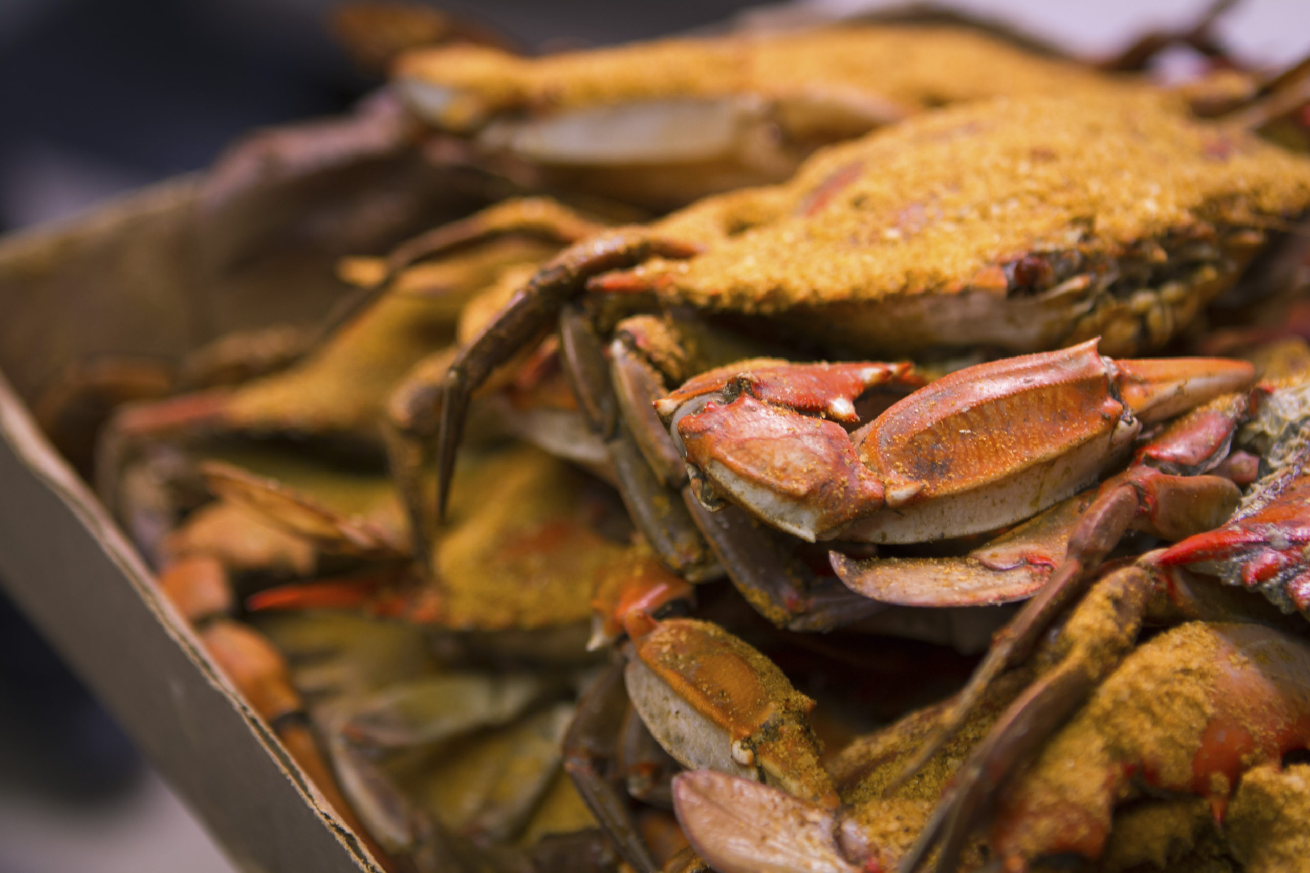 Crabs now available Wednesday – Sunday